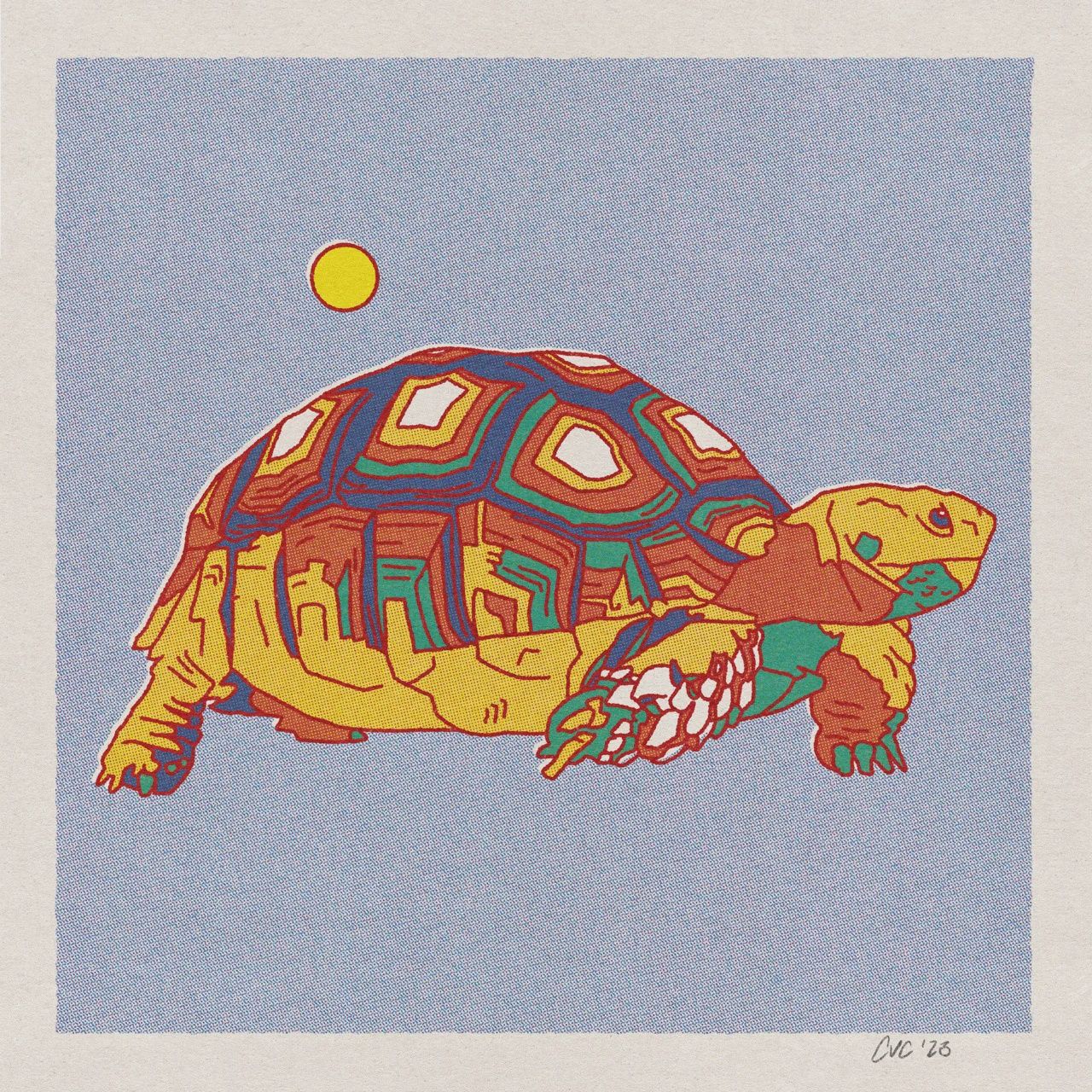 Desert Animals Postcard Pack