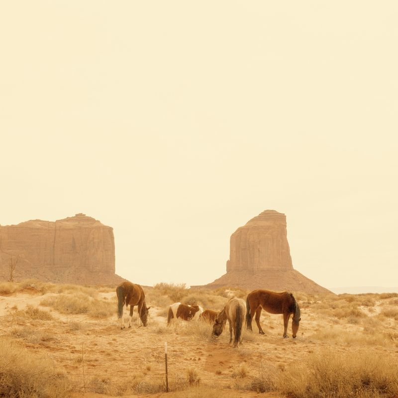 "High Noon" Print
