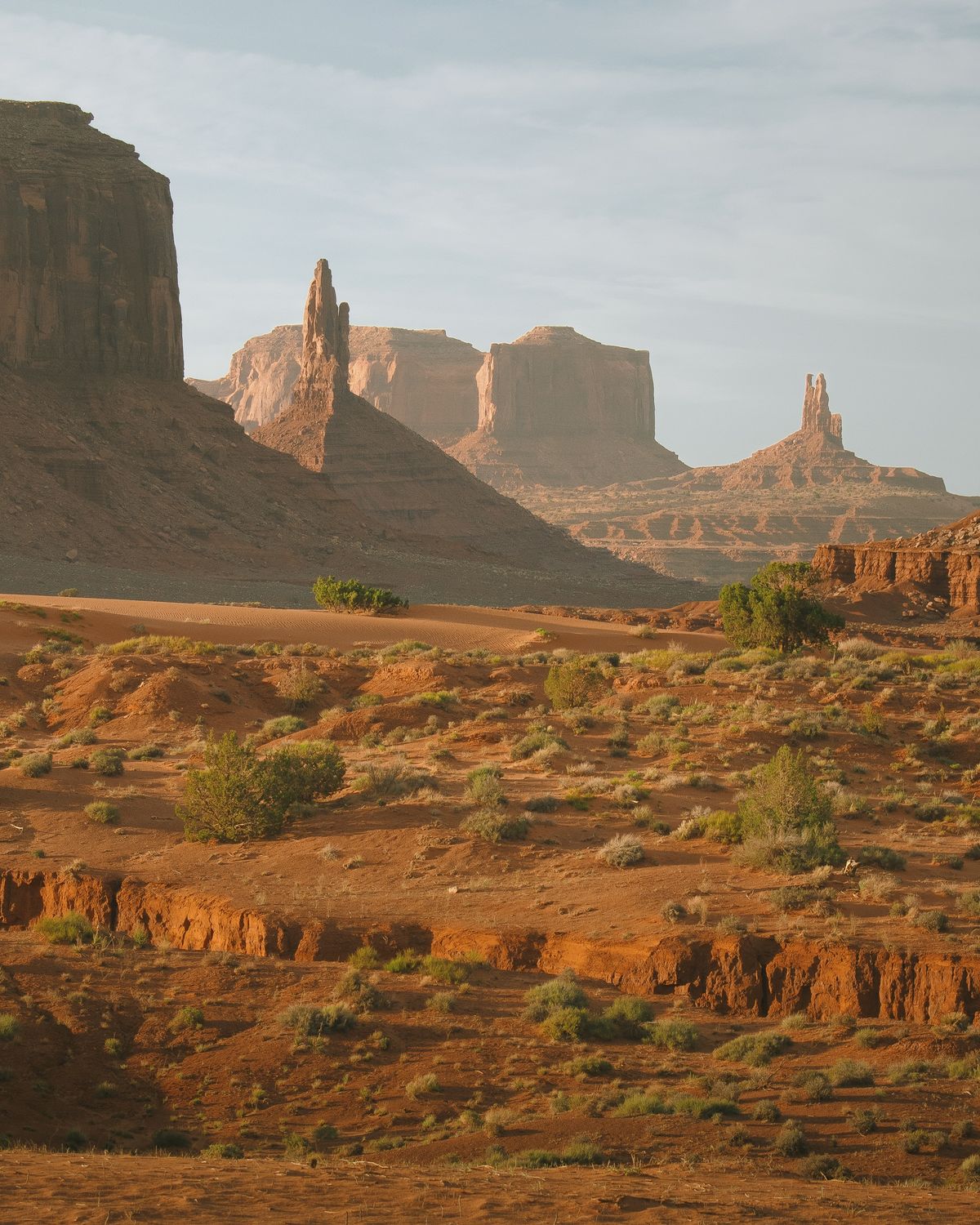 "Desert Deluxe" Print
