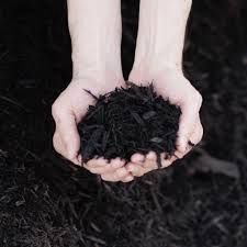Black Mulch