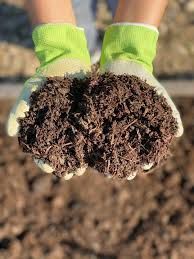 Mushroom Compost