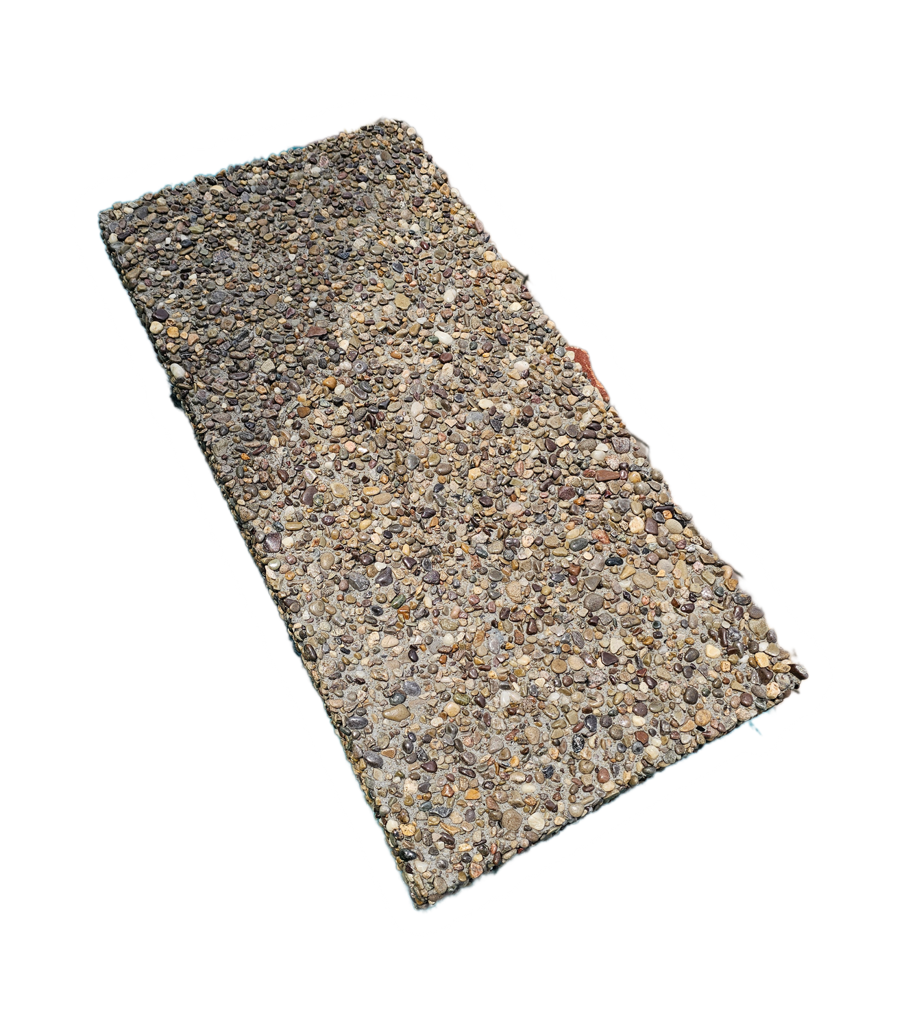 12&quot; x 24&quot; Exposed Stepping Stone