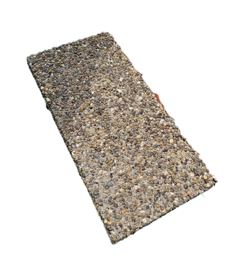 12&quot; x 24&quot; Exposed Stepping Stone