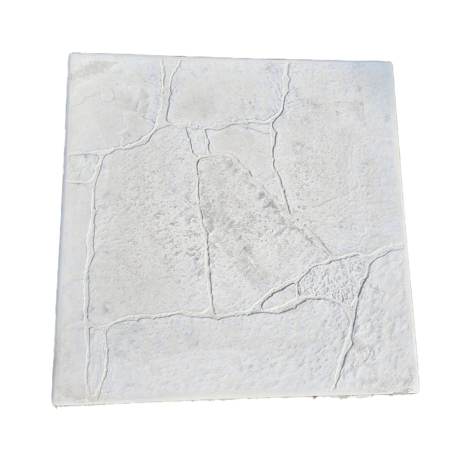 12&quot; x 6&quot; x 2&quot; Paver Stone Face Stepping Stone
