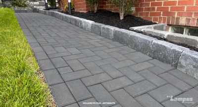 Holland Proguard