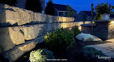 Rosetta Grand Ledge
