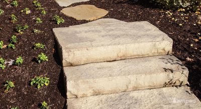Landing Stone
