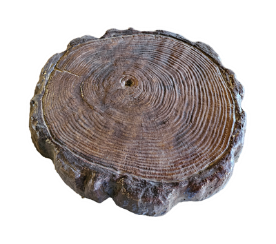 14" Stained Log Stepping Stone
