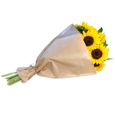Tournesol (9 pièces)