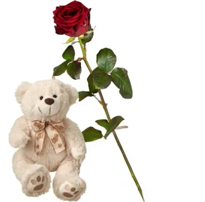 1 rose rouge avec ours en peluche