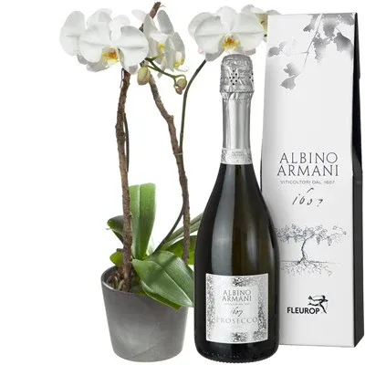 Orchidée blanche avec Prosecco Albino Armani