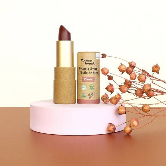 Maquillage - rouge à levres prune