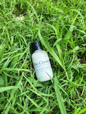 The Cleanser