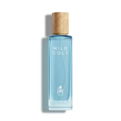 WILD COLT