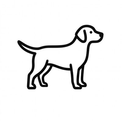 Medium Dog
