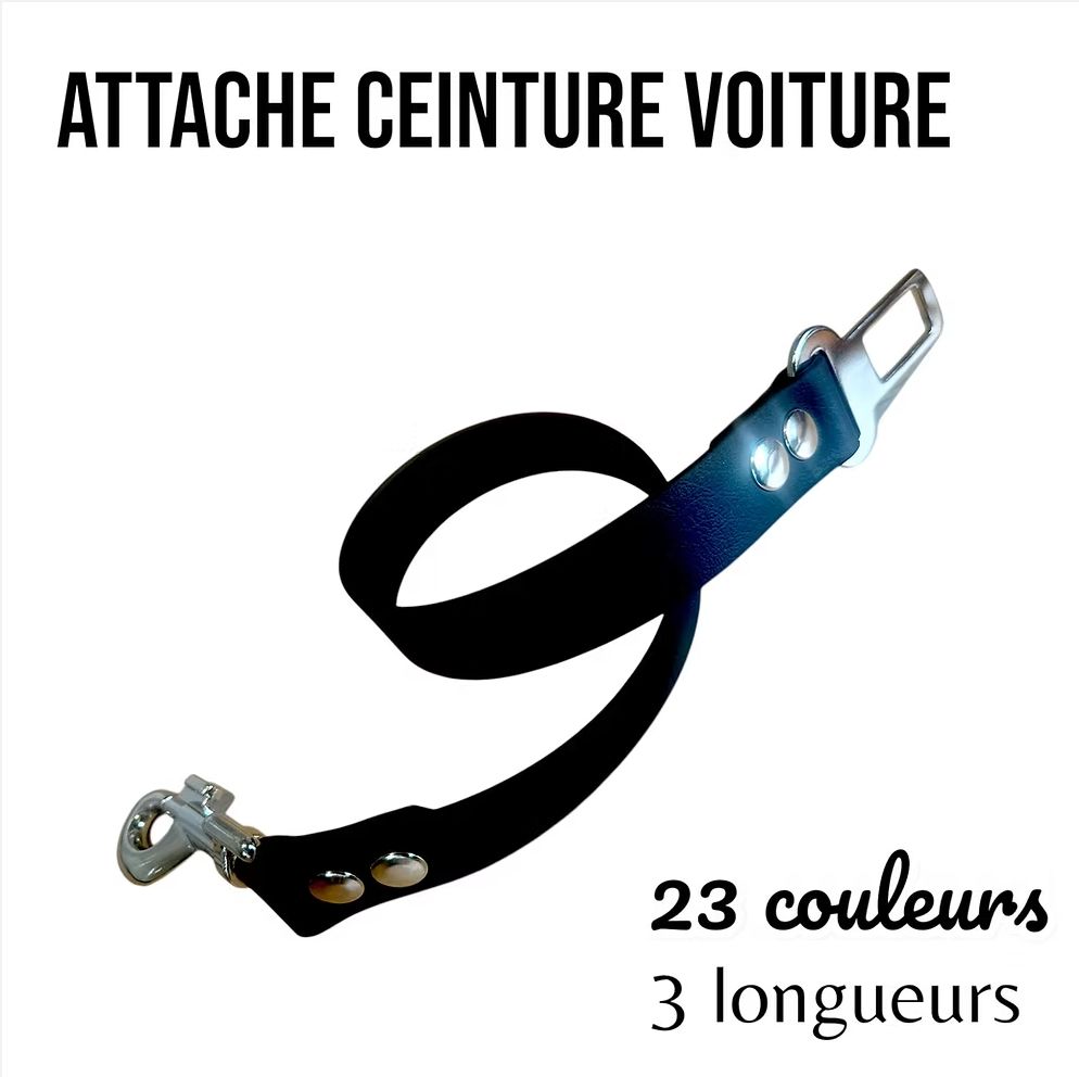 Attache Ceinture Voiture