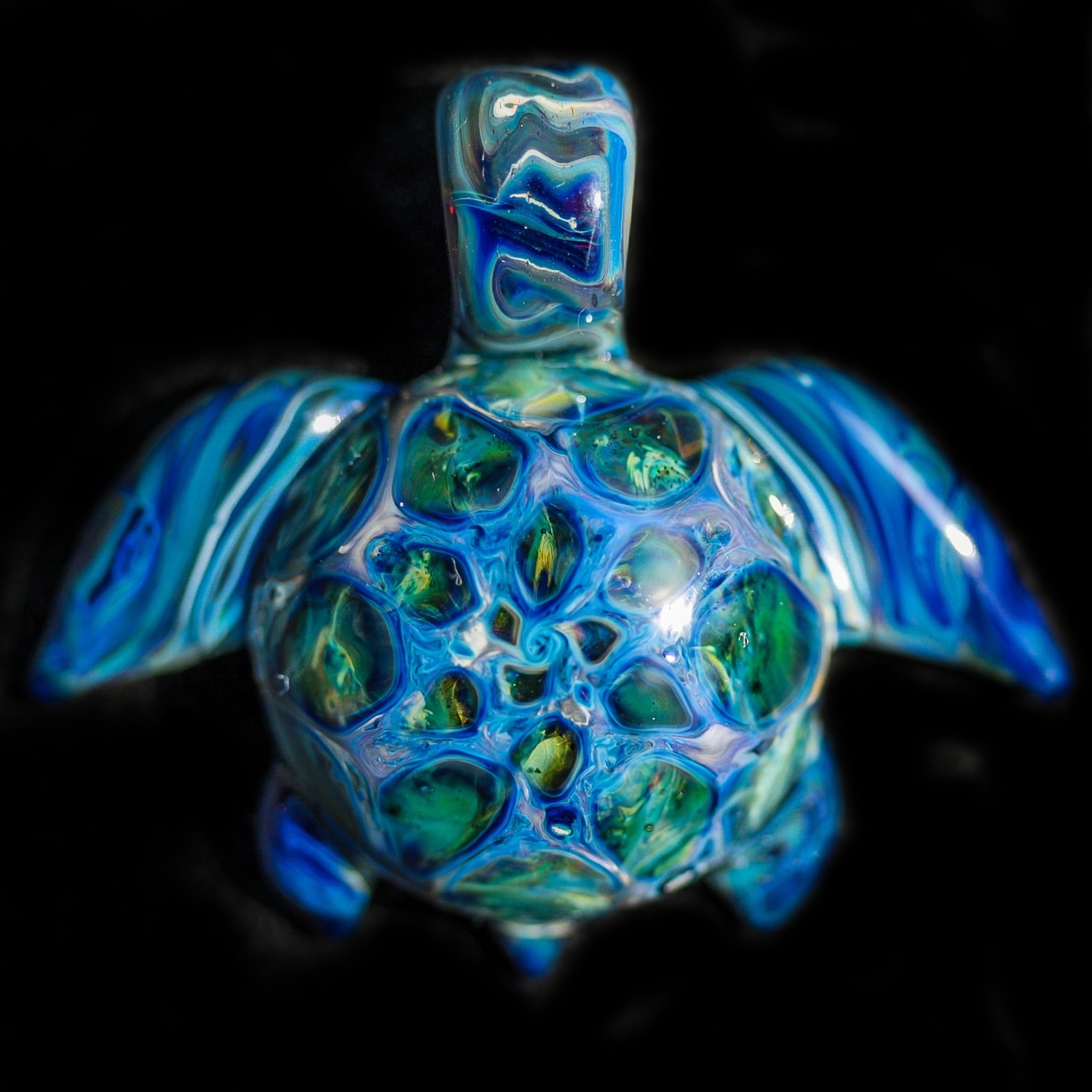 Blue Starburst Turtle