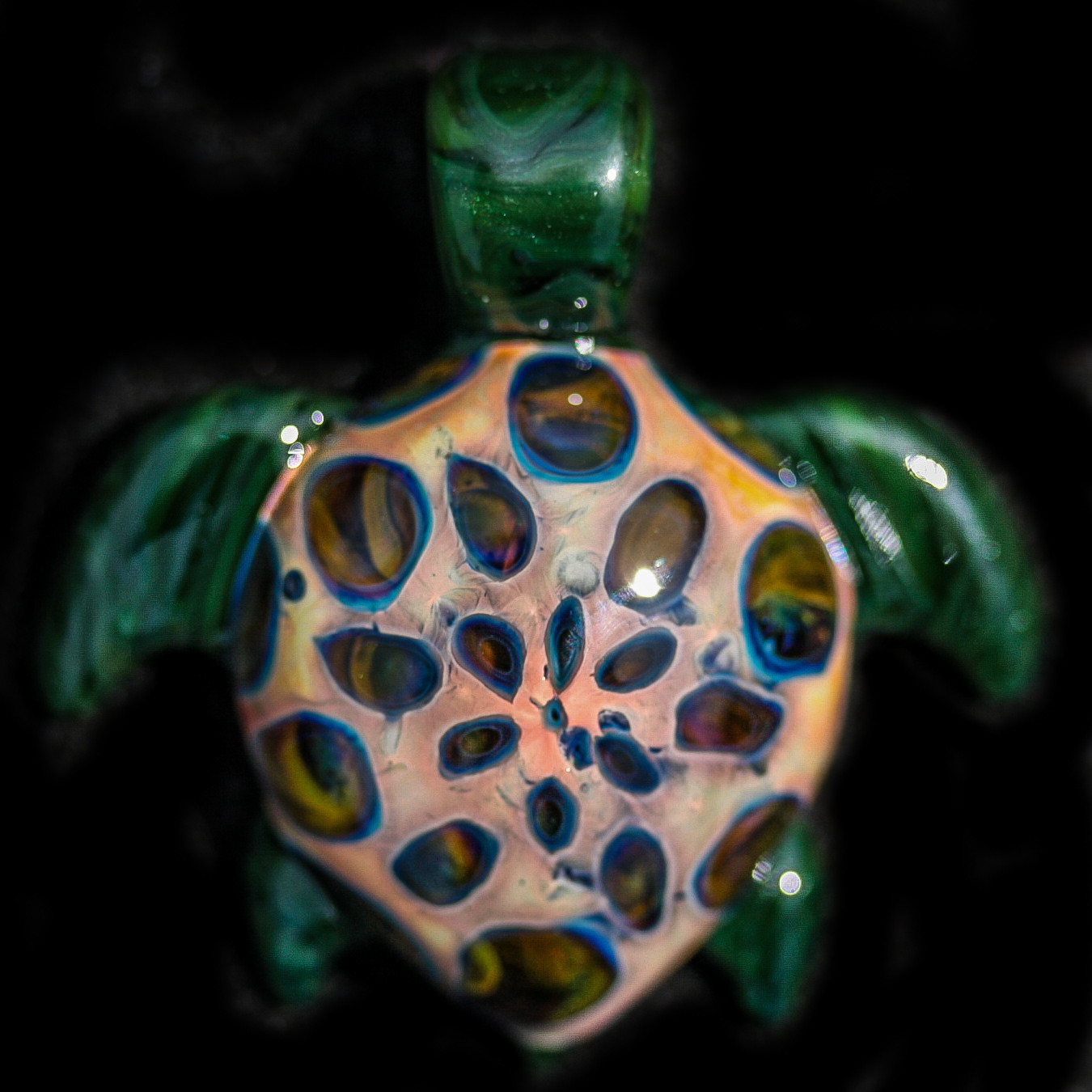 Amazon Night Turtle