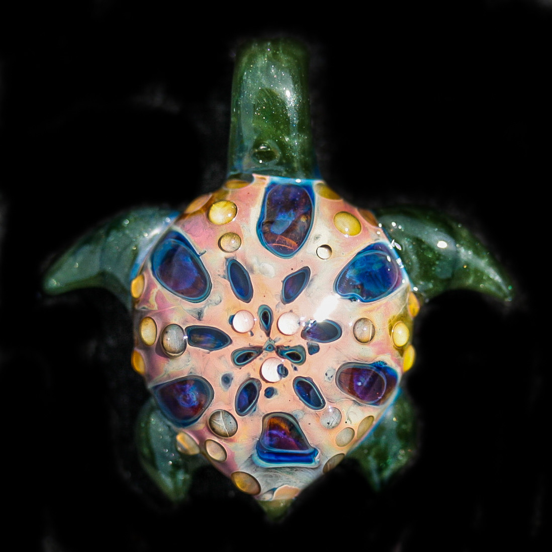 Dewy Turtle