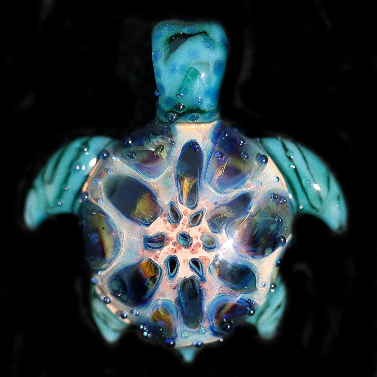 Super Cool Starburst Turtle