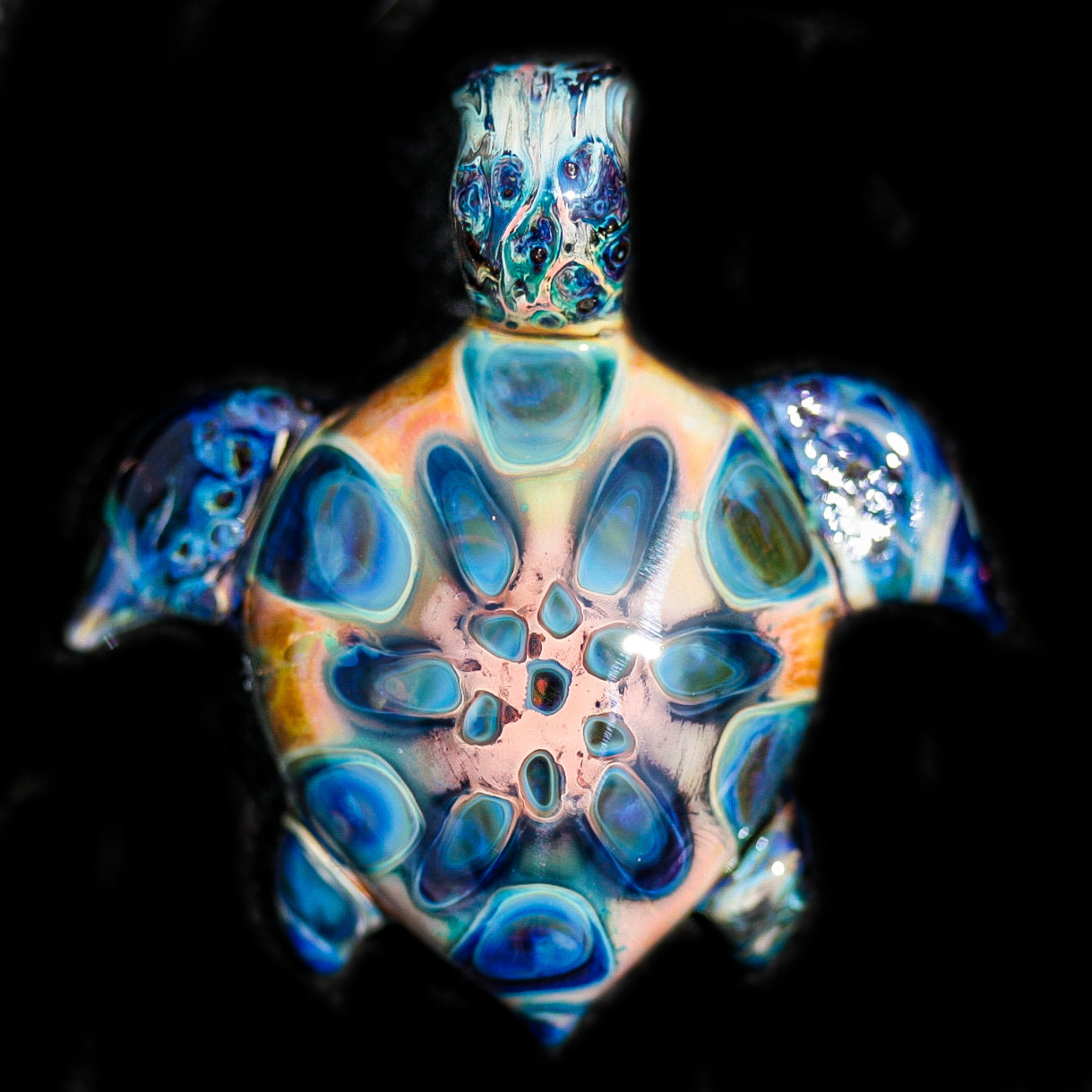 Exotic Turtle