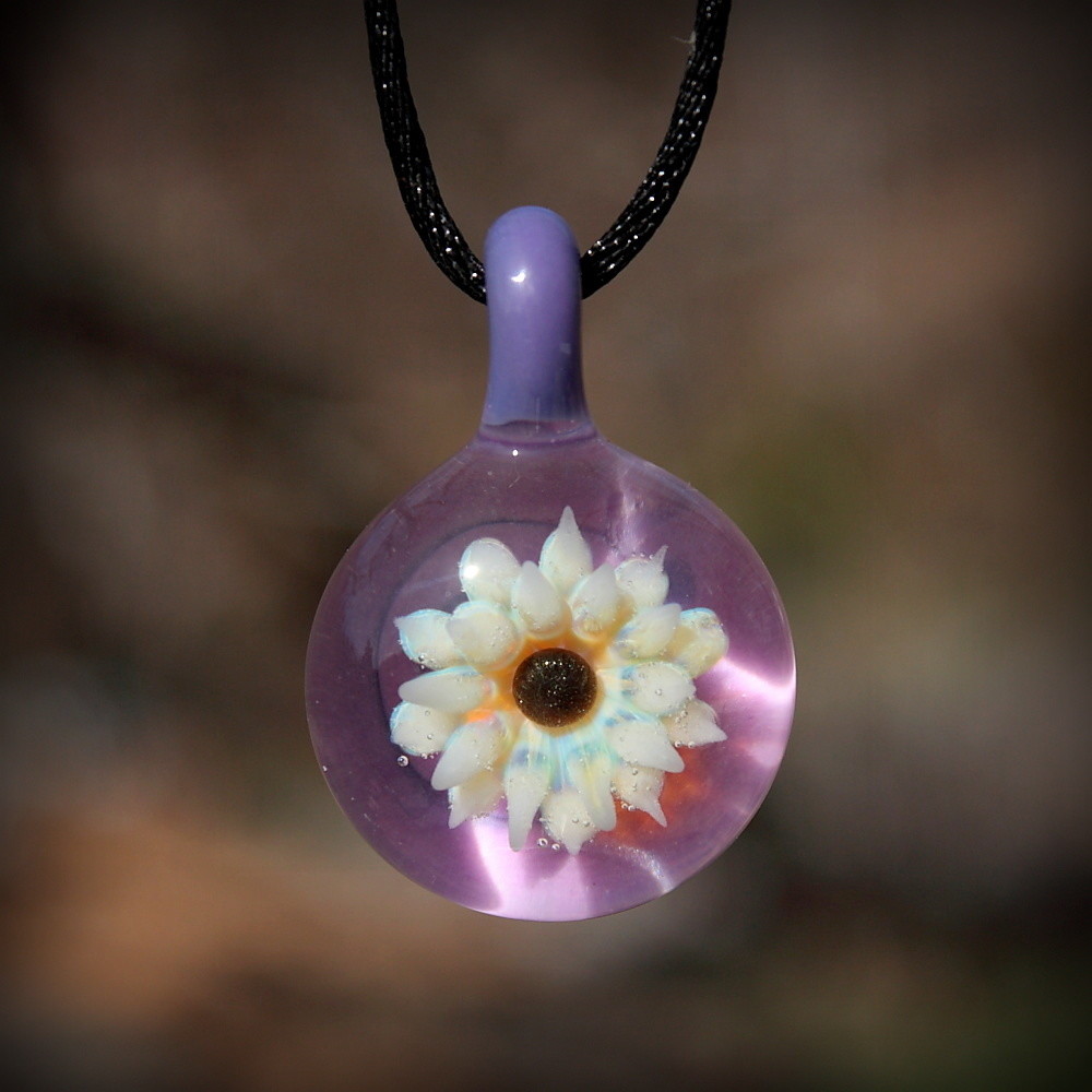 Brown Eyed Daisy
