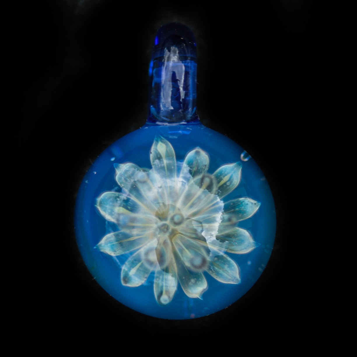 Blue Anemone