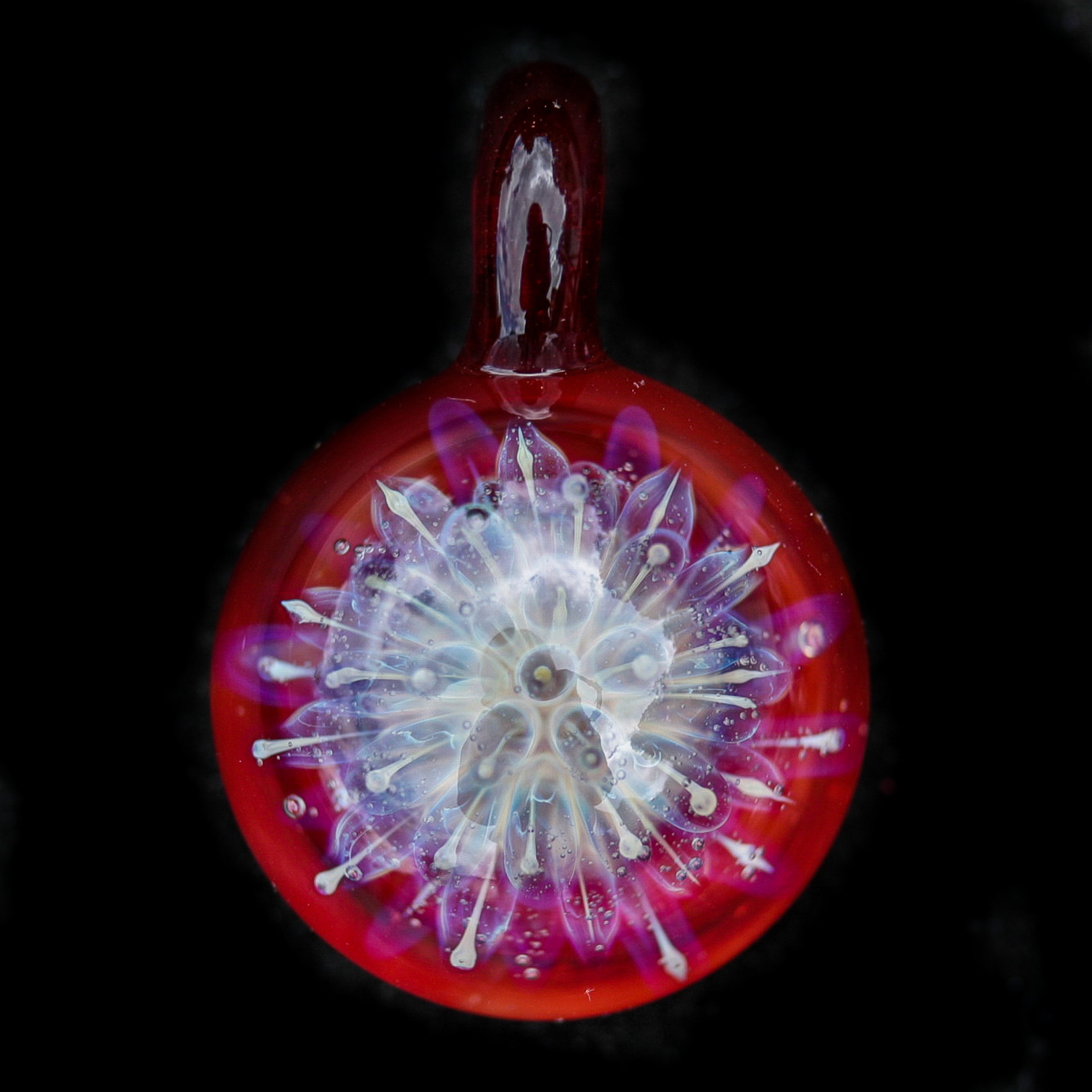 Garnet Anemone
