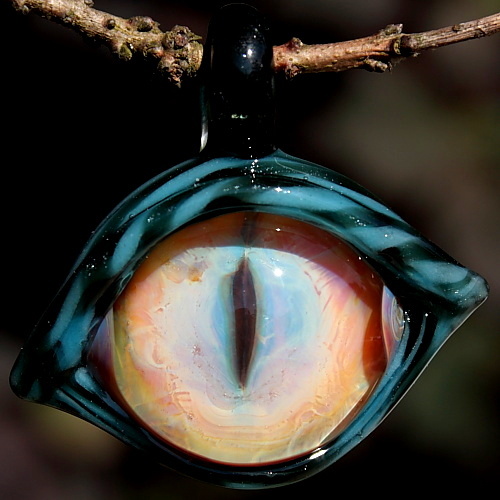 Blue Zebra Dragon Eye