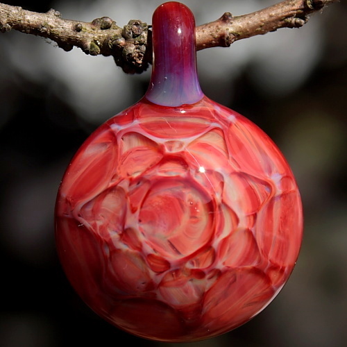 Exotic Cranberry Starburst
