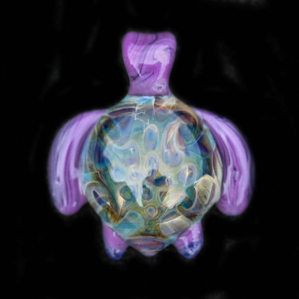 Fun Turtle