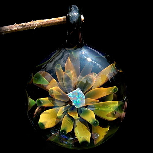 Bronze Opal Anemone