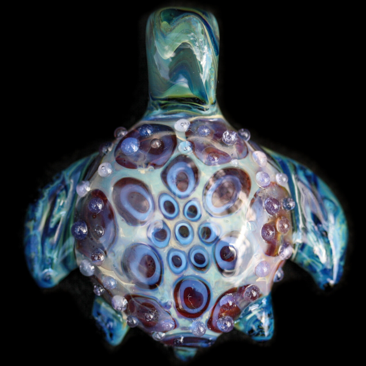 Lovely Sea Turtle
