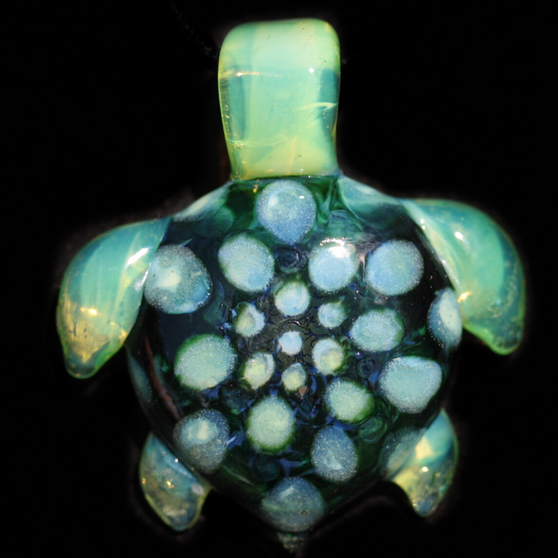 Neon Starburst Turtle