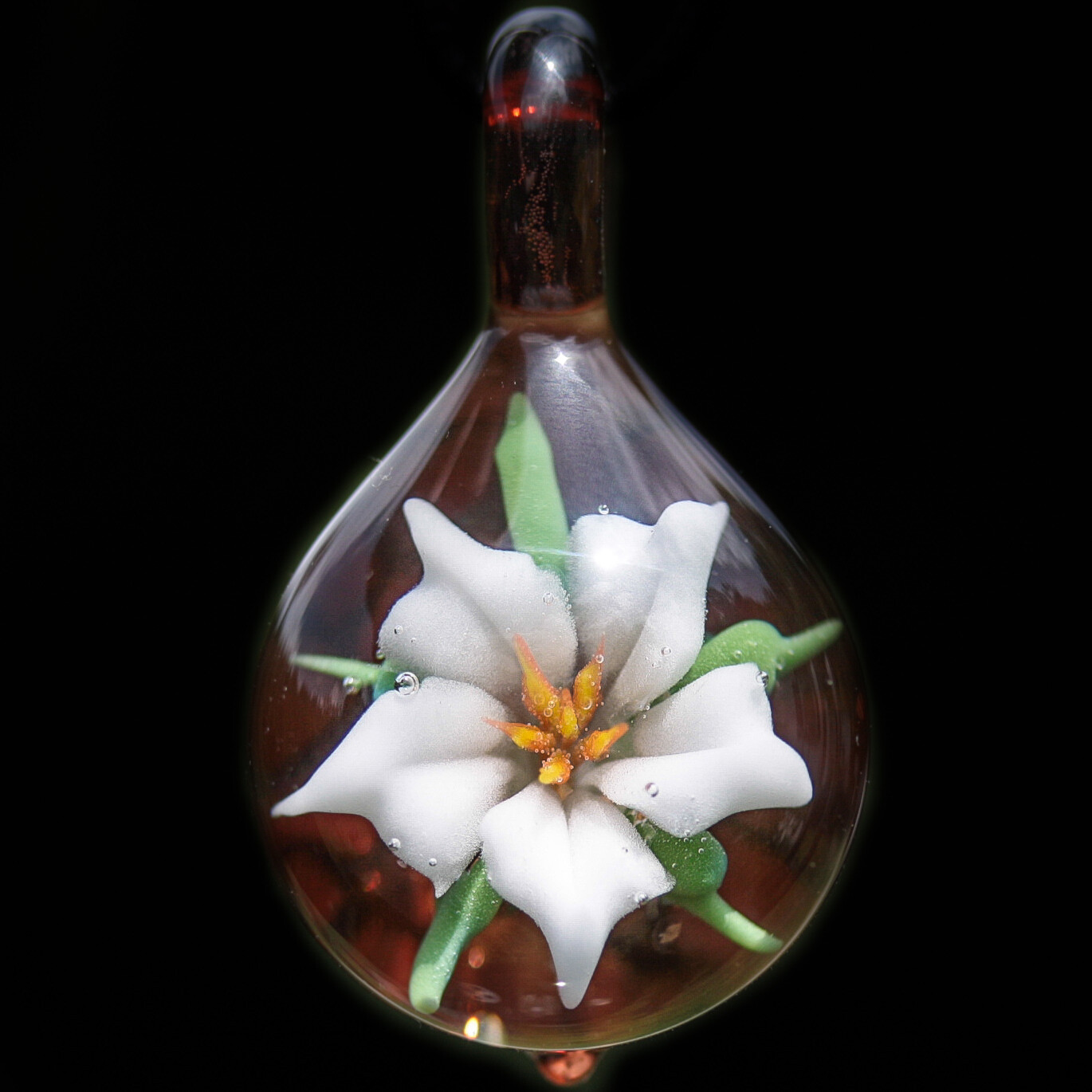 White Flower over Autumn Brown