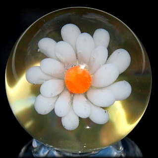 Daisy Marble