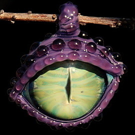 Majestic Dragon Eye