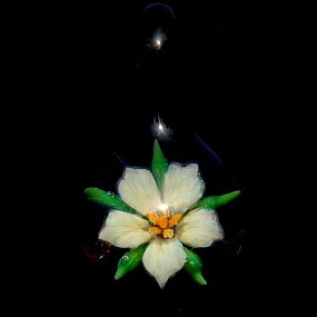 Cloud White Lily over Brown Sparkle