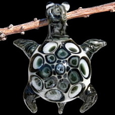 Black and White Starburst Turtle