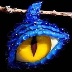 Yellow Dragon Eye