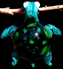 Xenon Sea Turtle