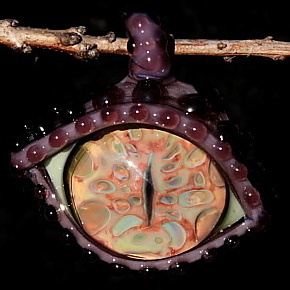 Exotic Earth Starburst Dragon Eye
