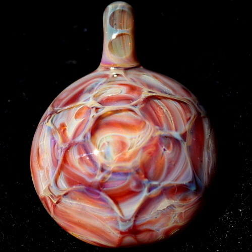 Starbust Seashell