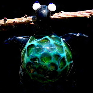 Green Aqua Sea Turtle