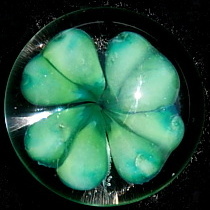 Clover