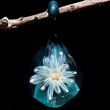 Silver Daisy