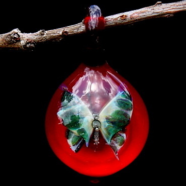 Butterfly over Deep Red