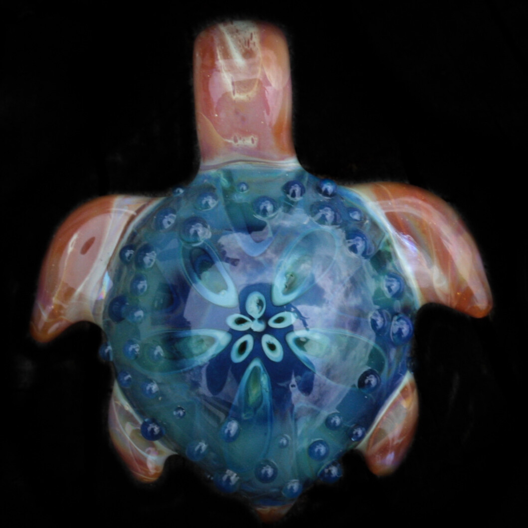 Sand Dollar Turtle