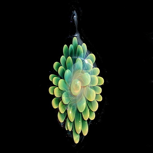 Bright Translucent Green over Sparkly Black