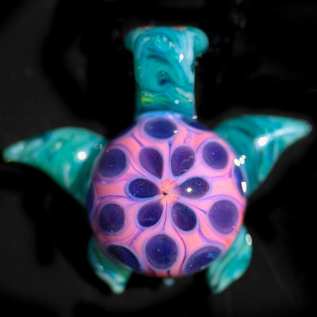 Starburst Beauty Turtle